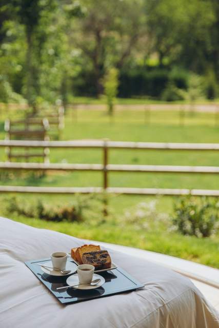 Le Bois d'Alice · Maison d’hôtes Ain, Chanoz-Châtenay